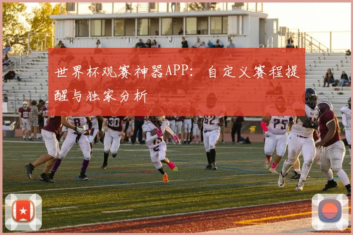 世界杯观赛神器APP：自定义赛程提醒与独家分析
