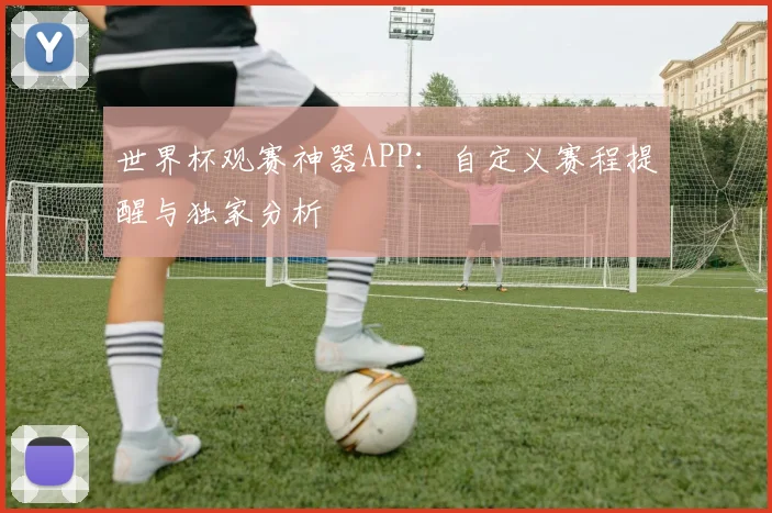 世界杯观赛神器APP：自定义赛程提醒与独家分析