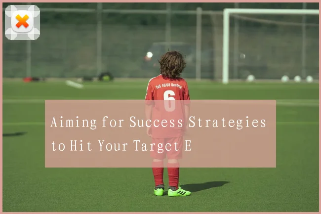 Aiming for Success Strategies to Hit Your Target E